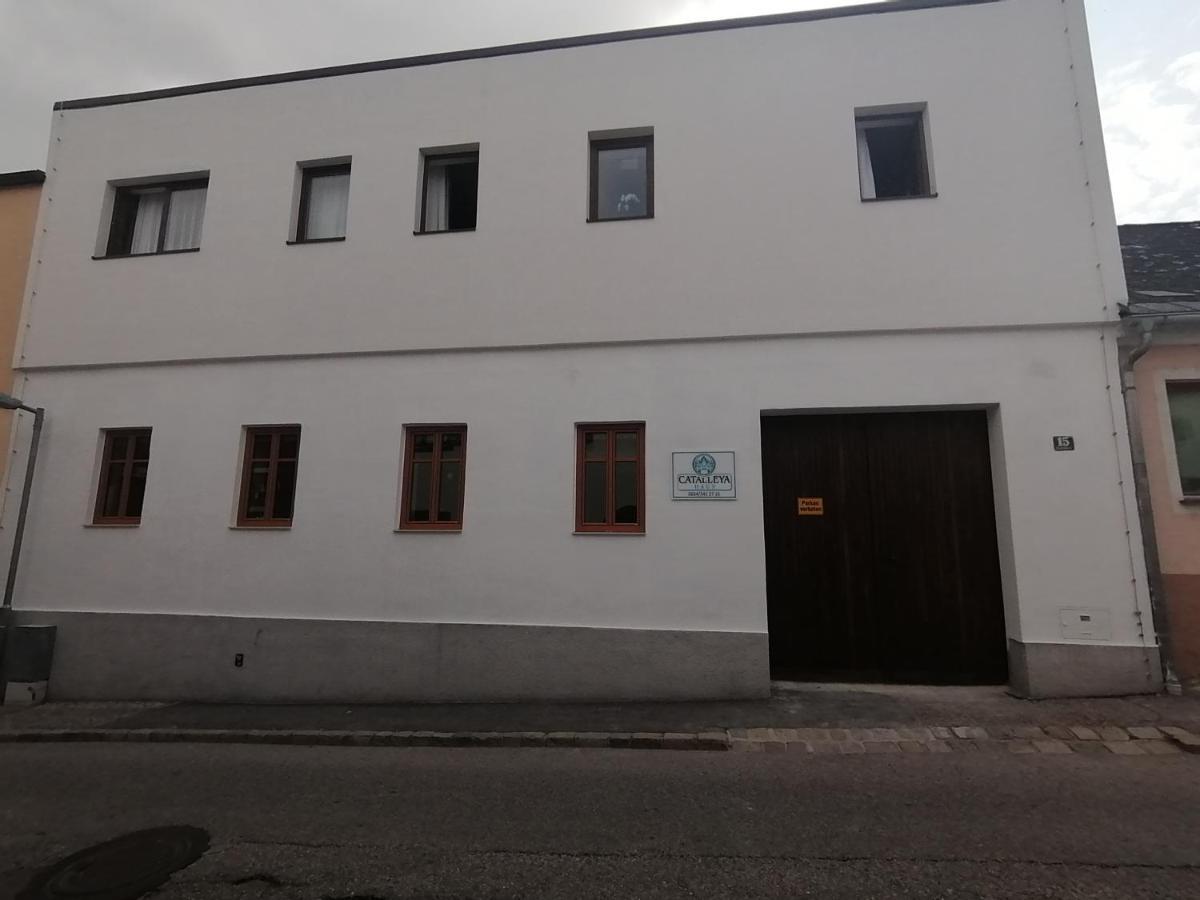 Catalleya Haus Langenlois Dış mekan fotoğraf
